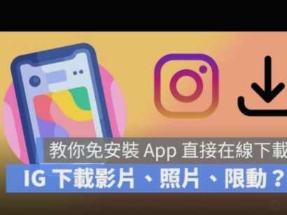 安全高效利用白条的方法指南