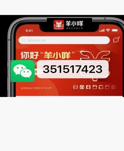 羊小咩购物额度怎么套出来