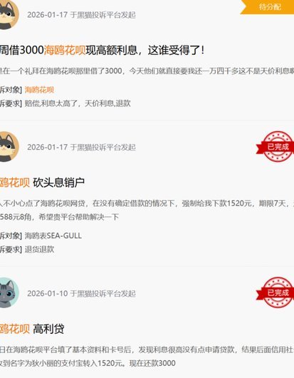 海鸥花呗平台 现在叫什么