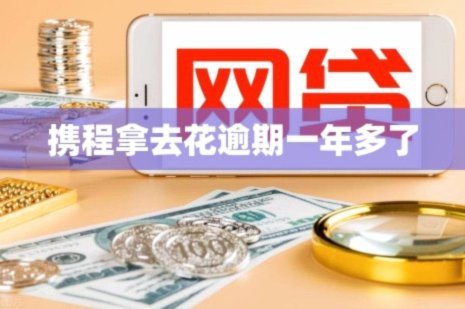 携程拿去花能提现吗