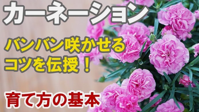 花呗可以提现到银行卡吗