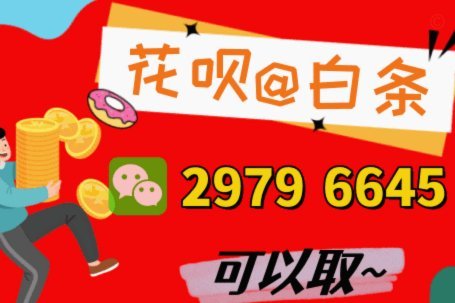 套花呗是什么东西