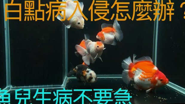 得物佳物分期提现方法指南