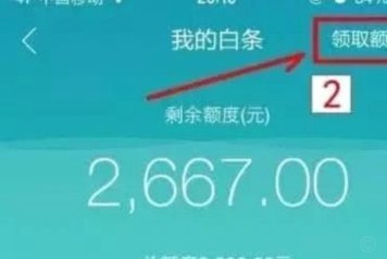 白条额度套出来秒到