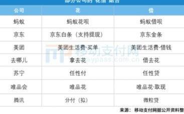 拿去花取现可以分期么