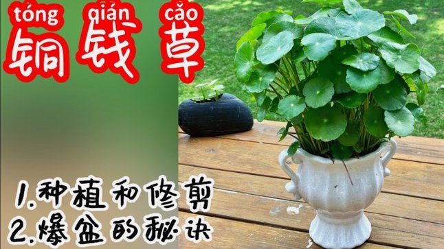 携程拿去花提现步骤