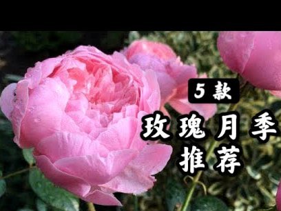 花呗使用平台 取现怎么取
