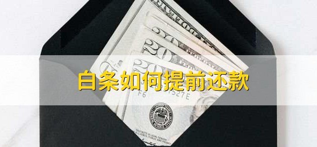白条取现与金条借款有何不同？