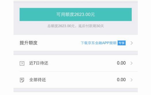 2025白条临时额度