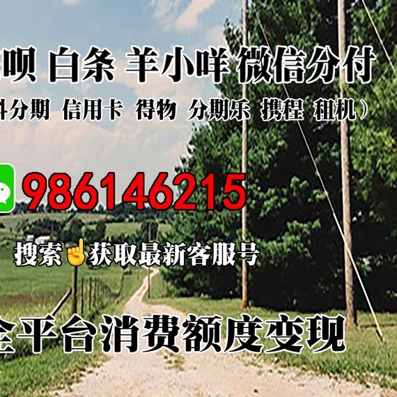 如何提升你的羊小咩消费额度