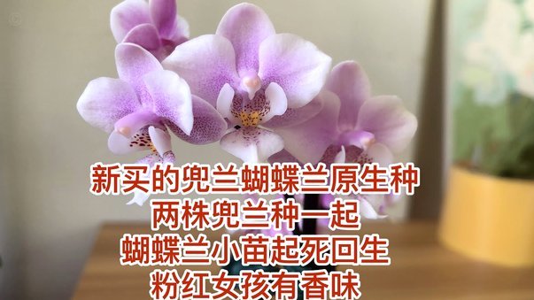 花呗套钱多了会怎么样