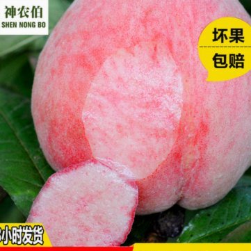 携程