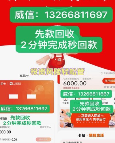 羊小咩贷款利率探秘