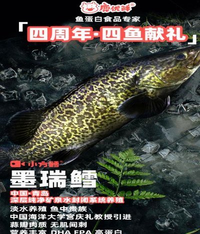 鹿优鲜公司