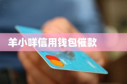 羊小咩怎么没有借款额度