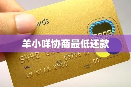 羊小咩怎么没有借款额度