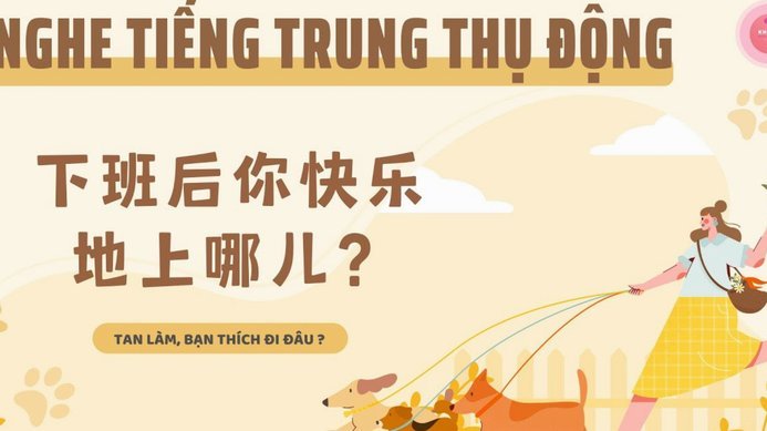 分期乐额度查询指南
