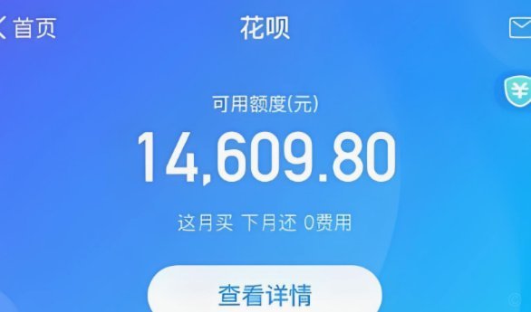 怎么可以套花呗的钱