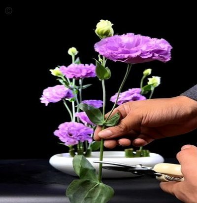 拿去花如何提现秒到