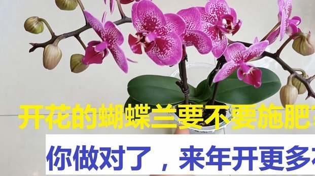 花呗兑现靠谱吗？商家需谨慎