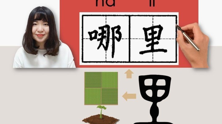 白条提前还款指南