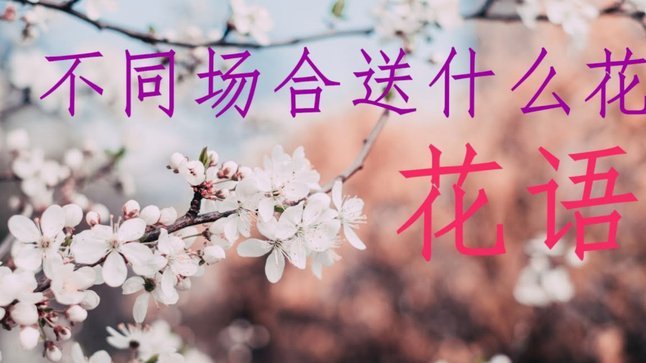 花呗怎么会出现异常