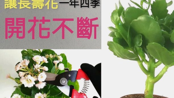 花呗怎么会出现异常