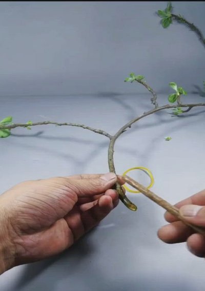 去哪儿的拿去花怎么用
