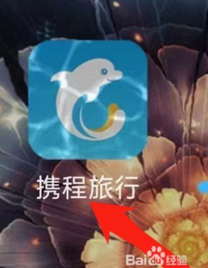 携程拿去花怎么合理利用
