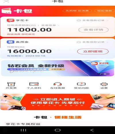 理想借款者？ 羊小咩的金融悖论