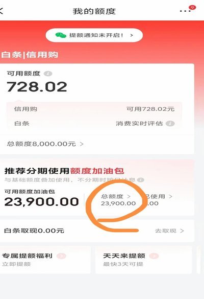 白条额度可用却提现不了？原因及解决方法