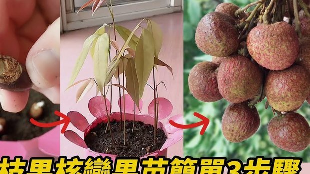 便荔卡额度如何解锁