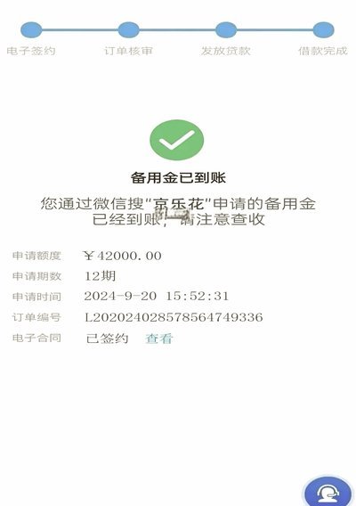 羊小咩放款延迟原因解析