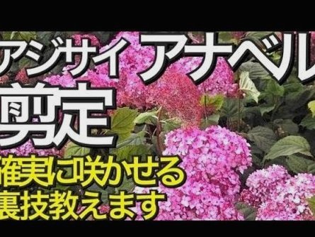 秒贷风险：数据迷局与金融隐患