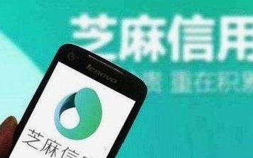 信用支付工具的灰色地带：白条套现现象探析