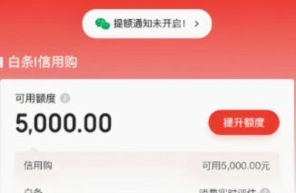 白条额度怎么套出来(新人教学)实操