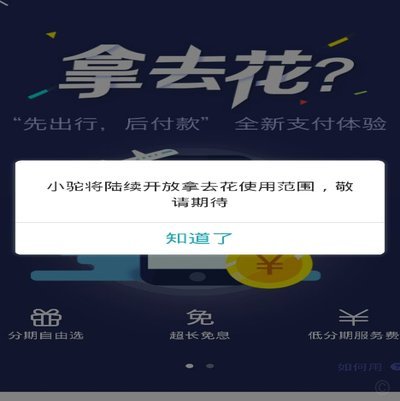 拿去花提现怎么用平台支付