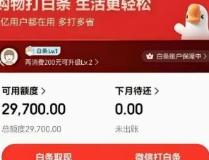 京东白条组合支付为啥变贵了？