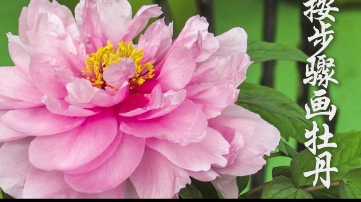 套现花呗平台合法吗？