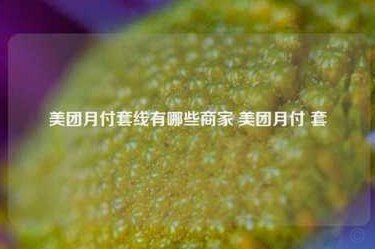 美团月付可以套