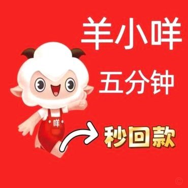 羊小咩有到账的吗