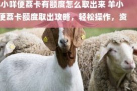 如何聪明使用羊小咩额度？