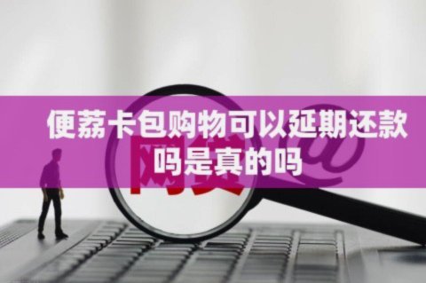 便荔卡包属于哪个平台
