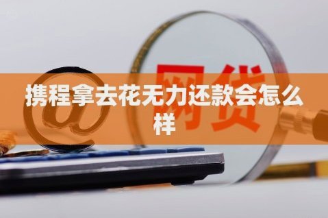 携程“拿去花”分期还款方式解析