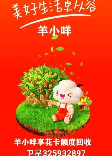 花两万买羊小咩，到底能换回多少价值？