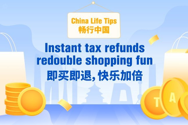 支付宝分付退款怎么退到零钱？完整流程详解